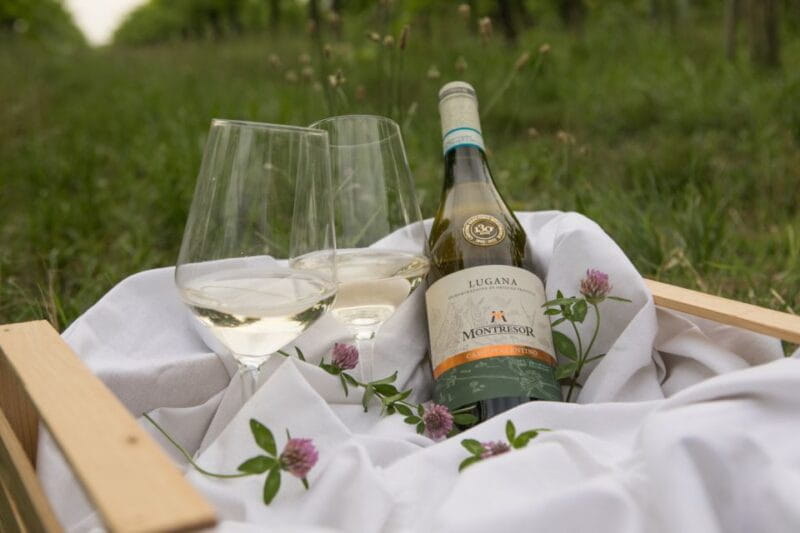 Taste with us Bardolino, Chiaretto and Lugana near Verona - Entering the World of Lake Garda Wines