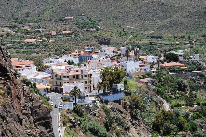 Tastes of Fuerteventura Minivan VIP Tour - Key Points / Takeaways