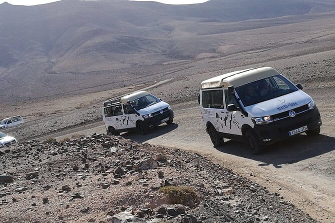 Tastes of Fuerteventura Minivan VIP Tour - Logistics & Practical Tips
