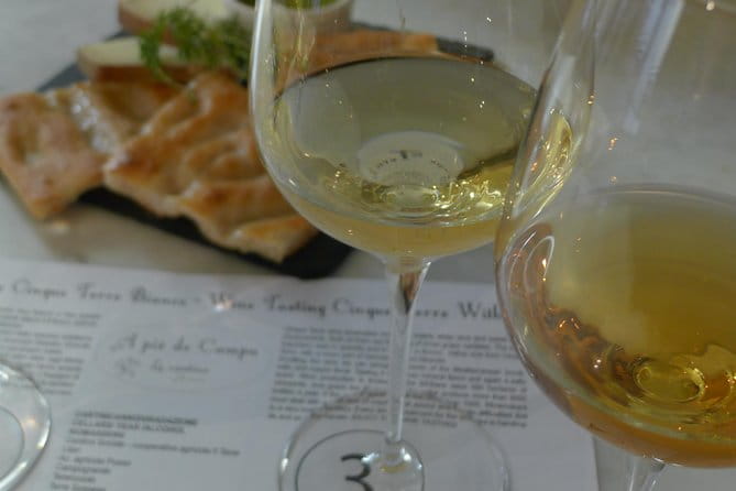 tasting and walk among the vineyards of the Cinque Terre - Who Is This Tour Best For?