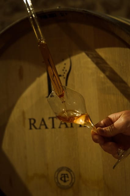 Tasting Experience: Discover our Champagnes in Marne Valley - What You’ll Taste and Learn