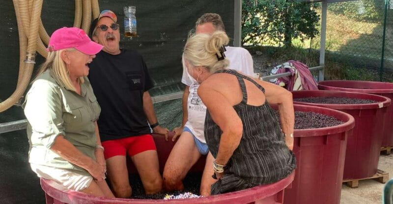 Tasting in a Tuscan Vineyard with transfer from Lucca - Who Will Love This Tour?