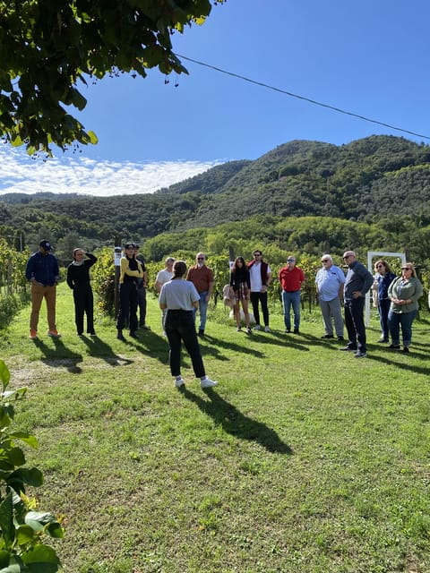 Tasting in a Tuscan Vineyard with transfer from Lucca - Frequently Asked Questions