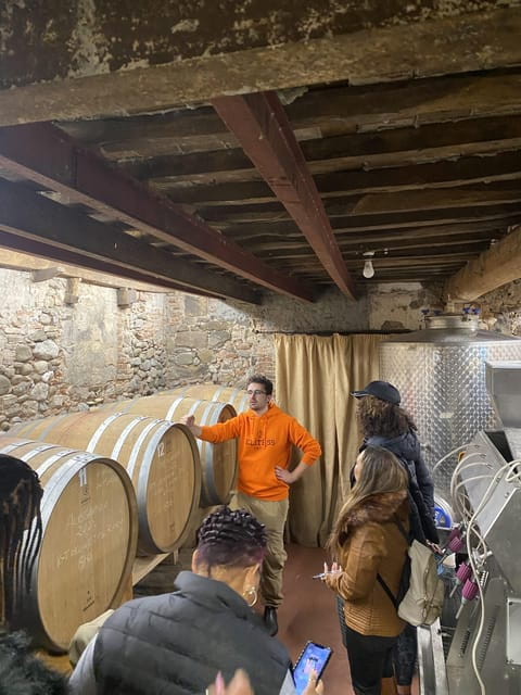Tasting in a Tuscan Vineyard with transfer from Pisa - A Taste of Tuscany: Authentic Vineyard Experience Near Pisa