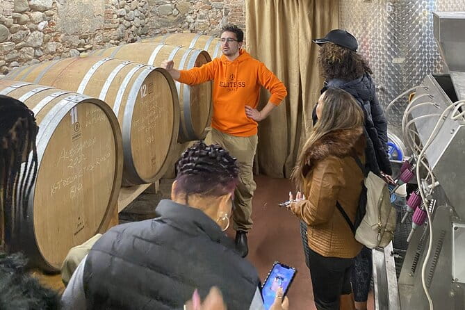Tasting in a Tuscan Vineyard with transfer from Pisa - Transportation, Group Size, and Value