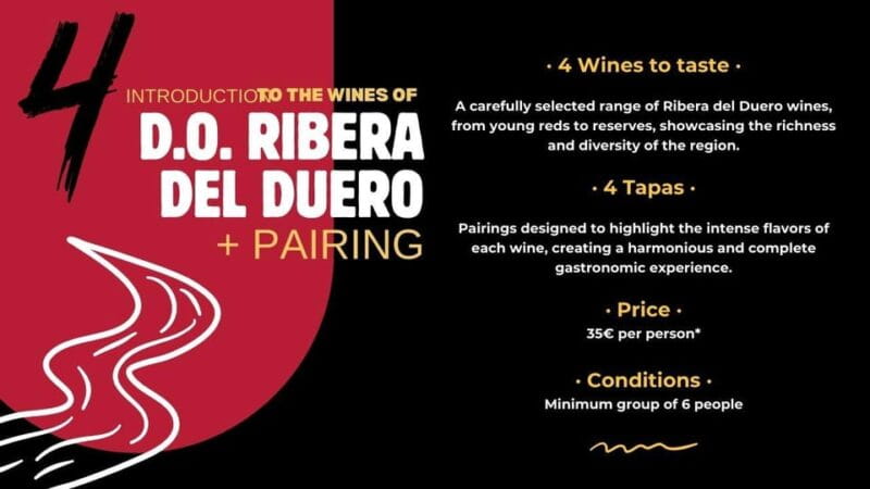 Tasting: Introduction to Wines of D.O. Ribera del Duero - Introduction to the Wines of Ribera del Duero: A Deep Dive