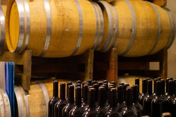 Tasting of 4 Valtenesi wines with local food in Salò - Final Thoughts: Why This Experience Is Worth It