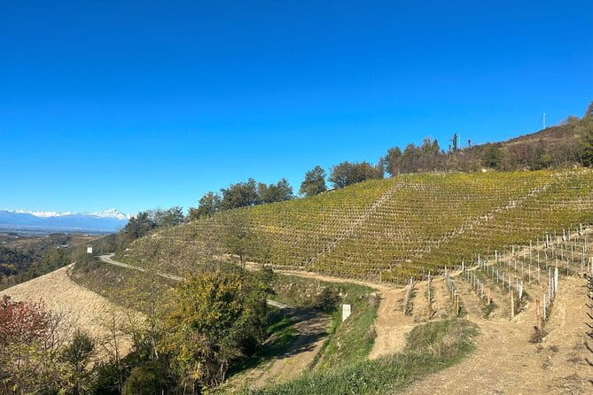 Tasting of Classic Method Sparkling Wines - Entering the World of Classic Method Sparkling Wines in Langhe-Roero