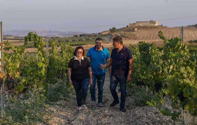 Tasting of EVO Wines and Oil in the countryside of Agrigento - What You Can Expect: The Itinerary in Detail