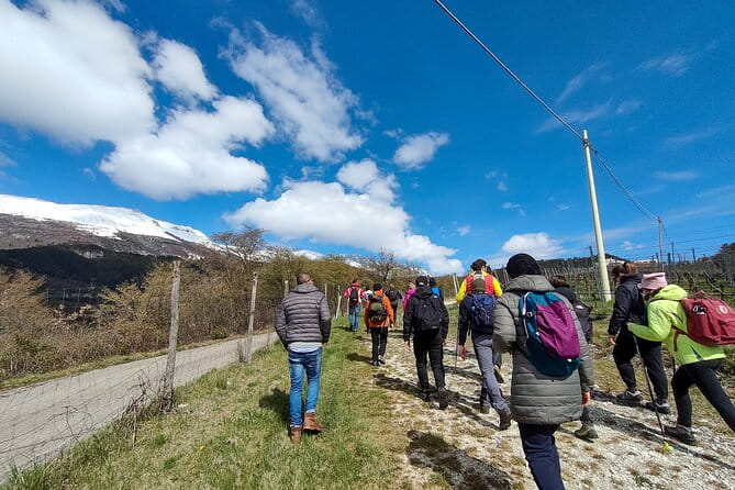 Tasting of Organic Mountain Wines with Vineyard and Cellar Tour - Exploring the Vineyards and Cellar