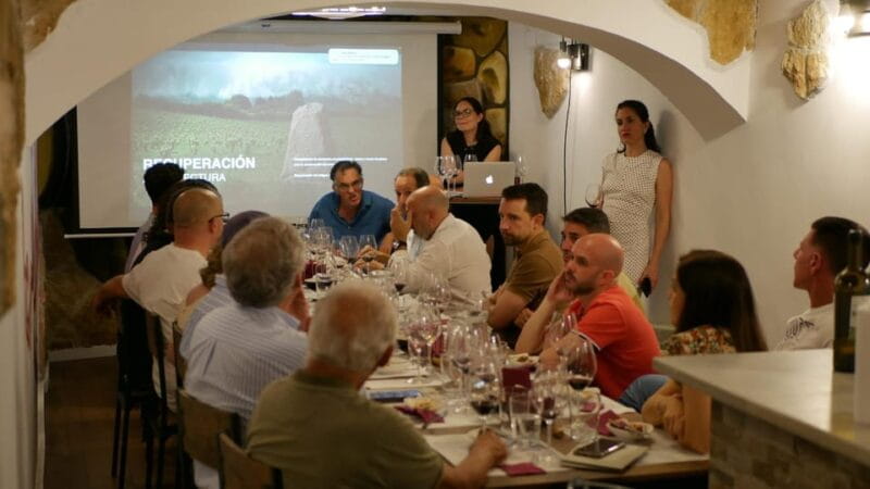 Tasting: Reserve Wines (Rioja and Ribera del Duero) +Pairing - Who Will Love This Experience?