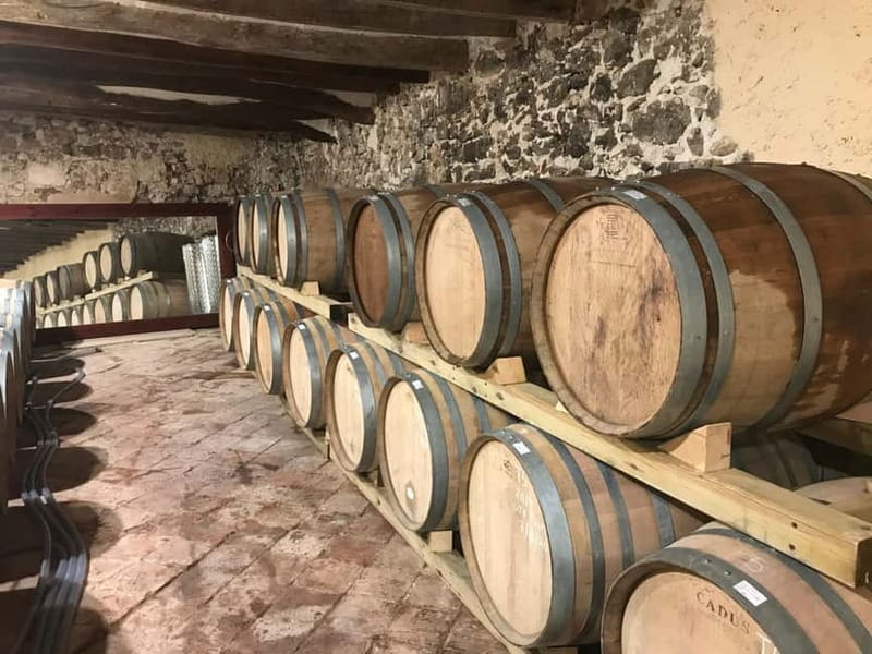 tasting wines in the vineyards with hotel pickup hotel - Discovering Catalonia’s Hidden Wine Gem