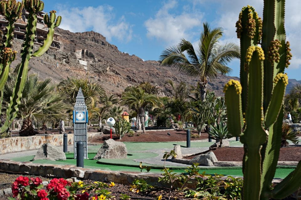 Taurito: Lago Taurito Water Park Entrance Ticket - Accessibility and Amenities