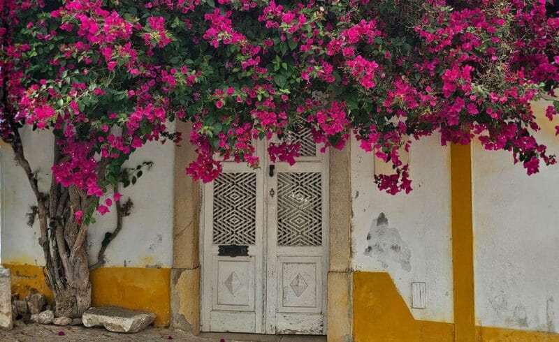 Tavira City & Ice Cream - The Practicalities: Logistics and Value