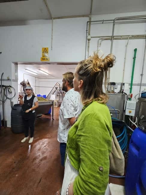 Tavira City & Olive Factory Tuktuk tour - Key points / Takeaways