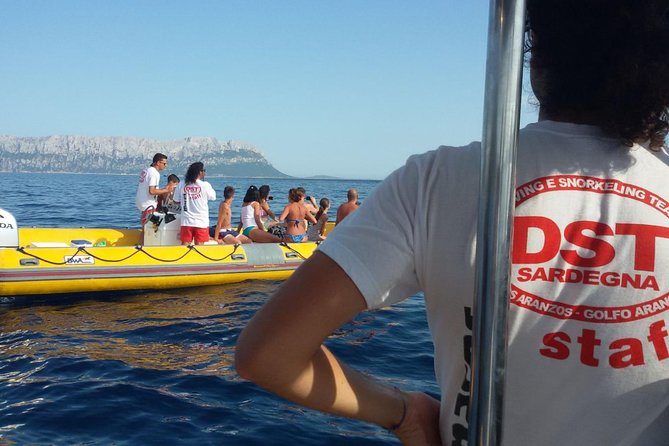 Tavolara Marine Protected Area for Snorkeling - Accessibility and Suitability Considerations