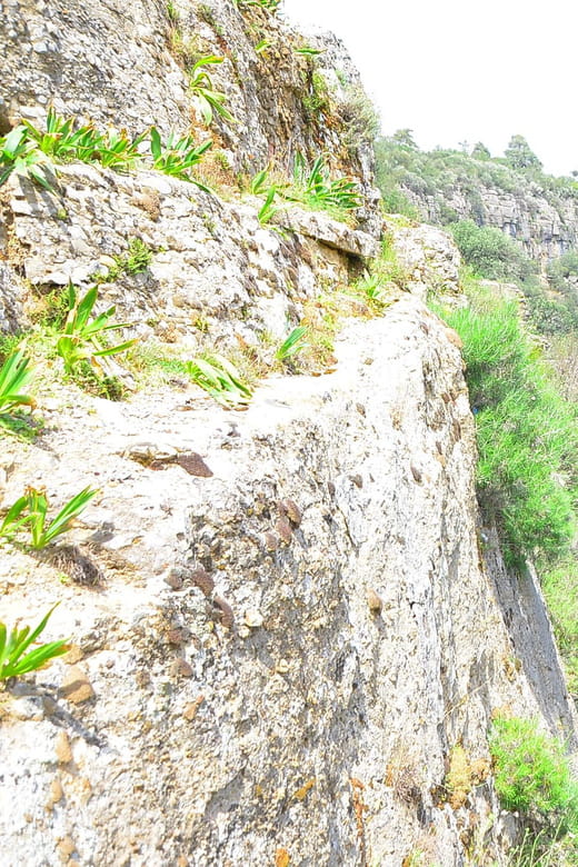 Taz Canyon, Avatar Lands and Selge Ancient City Tour - A Well-Organized Day Out with Great Value