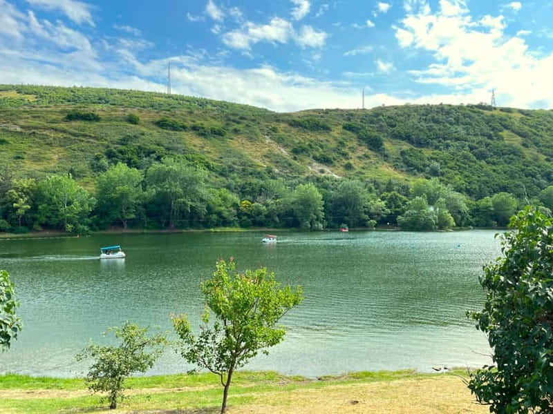 Tbilisi 2 Parks: Turtle Lake & Dedaena Park with Flea Market - Key points / Takeaways