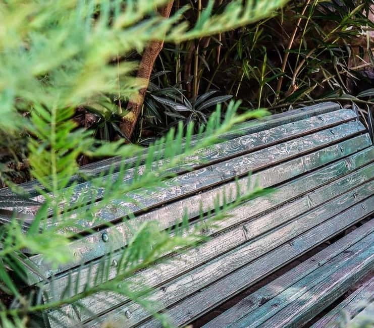 Tbilisi: 7-Day Guided Tour with Hotel and Transfers - The Modern Side of Tbilisi: Rustaveli Avenue & Rezo Gabriadze Theater