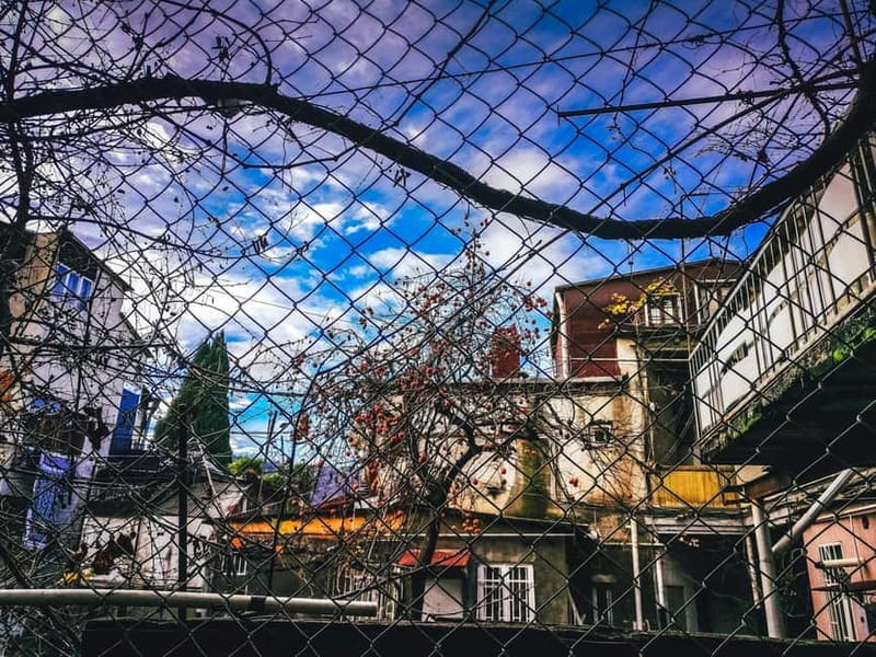 Tbilisi: Alternative (All Inclusive) City Tour, Lunch & Wine - Who Should Consider This Tour?