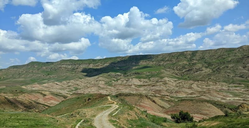 Tbilisi: David Gareja and Colorful hills of Semi-desert - Who Is This Tour Best For?