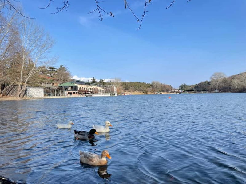 Tbilisi: Elegance of Traditional Architecture & Turtle Lake - Exploring the Charm of Tbilisi: Traditional Architecture & Turtle Lake