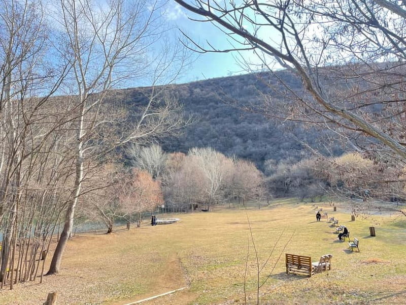 Tbilisi: Elegance of Traditional Architecture & Turtle Lake - Price & Value