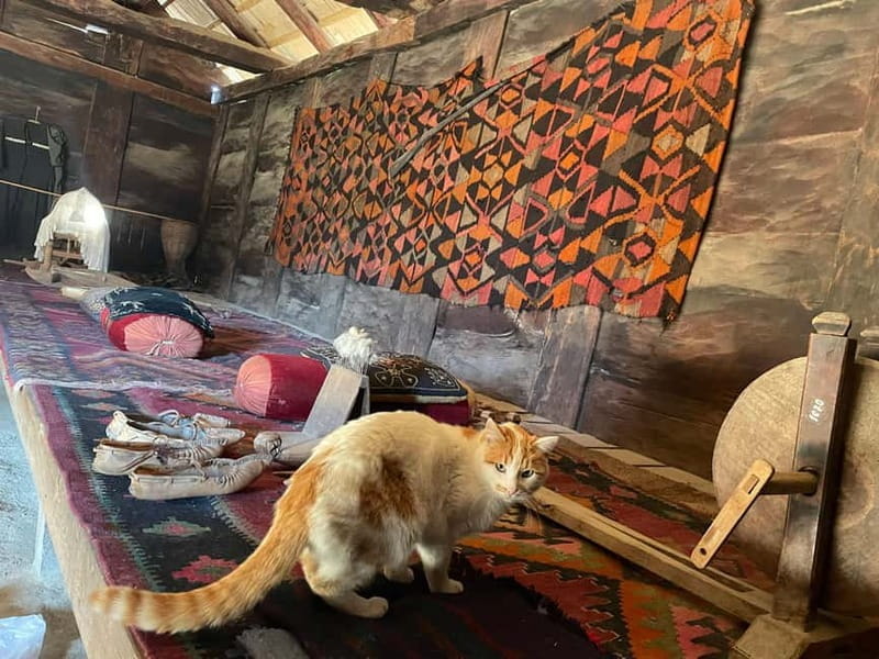 Tbilisi: Elegance of Traditional Architecture & Turtle Lake - Final thoughts