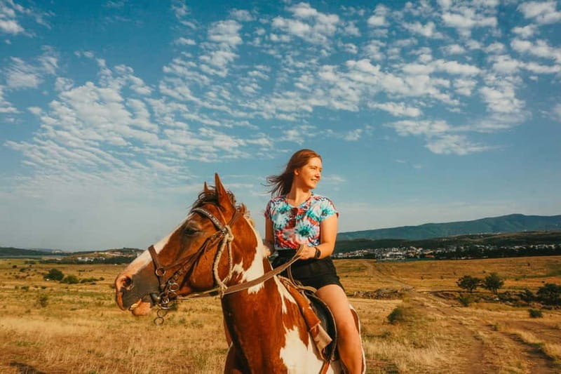 Tbilisi: Horseback Riding Experience - Price and Logistics: A Good Deal for a Short Escape