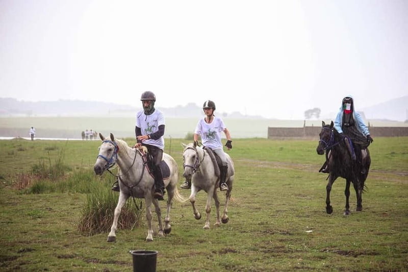 Tbilisi: Kakheti Horse Riding, Wine Tasting, and Cooking - Logistics and Practicalities