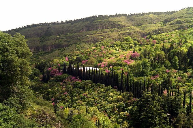 Tbilisi & Mtskheta city tour - Who Is This Tour Best For?