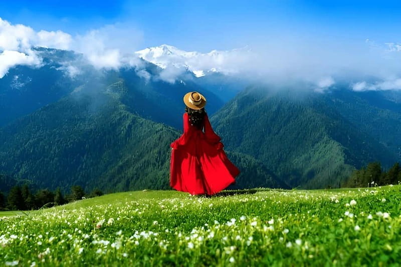 Tbilisi to Zhinvali Ananuri Gudauri Kazbegi Group GuidedTour - Who This Tour Is Best For