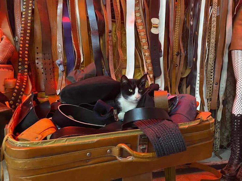 Tbilisi: Vintage Fashion and Secondhand Thrifting Tour - Conclusions: Who Will Love This Tour?