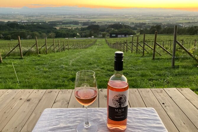 Tea Ceremony Experience at New Chitose Airport - Key Points