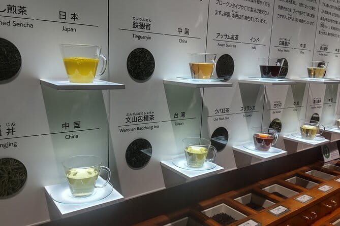 Tea Museum, Shizuoka and Guinness World Records Bridge C-G - Key Points