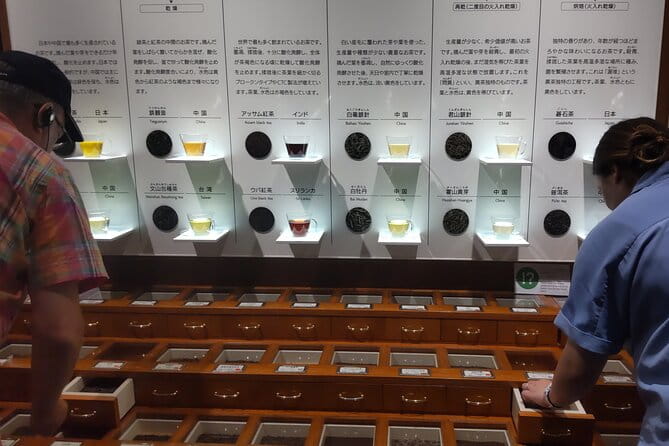 Tea Museum, Shizuoka and Guinness World Records Bridge C-G - The Guinness World Records Bridge C-G