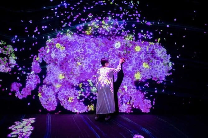 Teamlab Forest Fukuoka an Immersive Art Experience Ticket - Key Points
