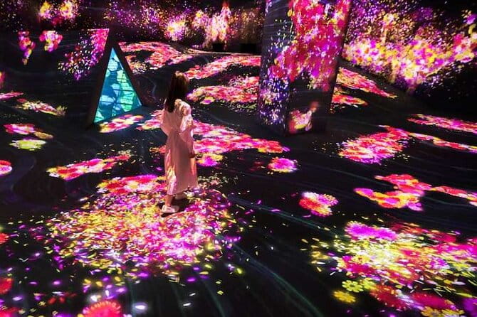 Teamlab Forest Fukuoka an Immersive Art Experience Ticket - Operating Hours and Time Slots