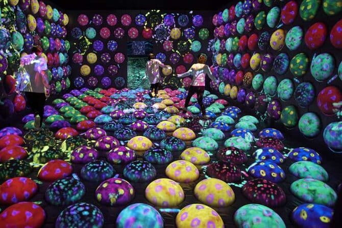 Teamlab Forest Fukuoka an Immersive Art Experience Ticket - Tips for Making the Most of Your Visit