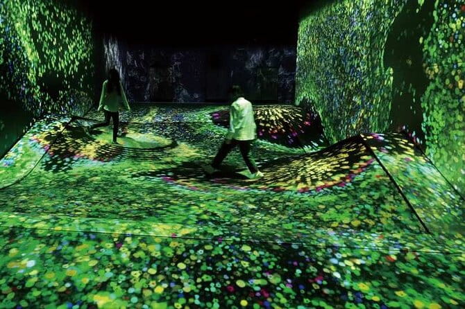 Teamlab Forest Fukuoka an Immersive Art Experience Ticket - What to Expect at Teamlab Forest Fukuoka