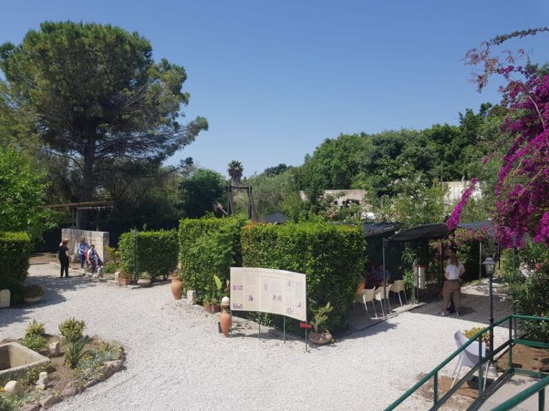 Tecnoparco Archimede Museum Exhibition Ticket - FAQ