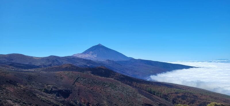 Teide National Park and Vilaflor ; local wine tasting - Who Is This Tour Best For?