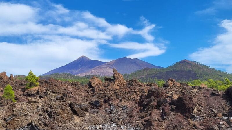 Teide National Park and Vilaflor ; local wine tasting - The Sum Up