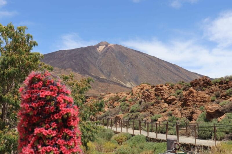 Teide National Park and Vilaflor ; local wine tasting - FAQ