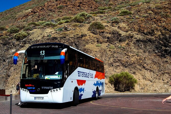 Teide National Park - Highlights of the Tour