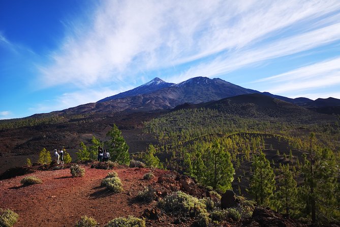 Teide National Park for Smaller Groups - 500-Year-Old Lava Flow