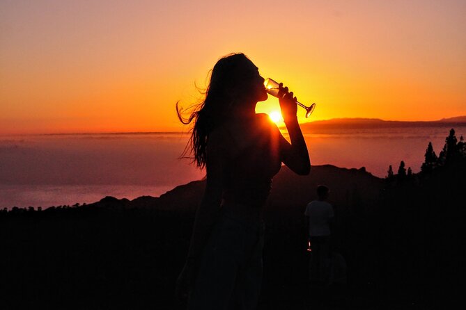 Teide National Park Sunset & Stargazing With Dinner (Star Safari) - Pickup Service and Schedule