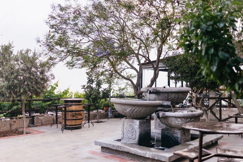 Teide Night Experience With Dinner and Stargazing - Customer Ratings and Feedback