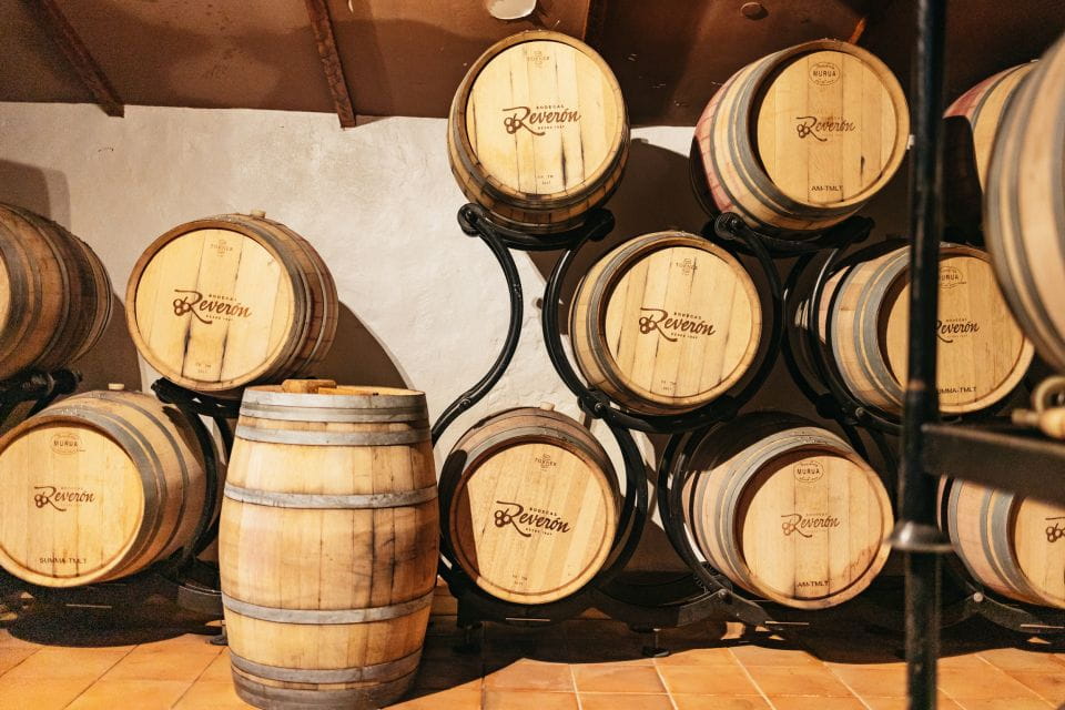 Teide Night Experience With Dinner and Stargazing - Things To Know