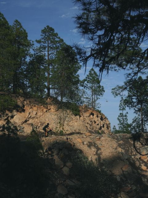 Teide Volcano Ride - Electric Bike Tour - Bike Specifications